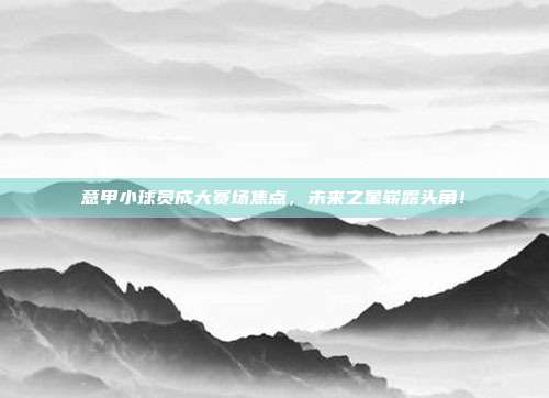 意甲小球员成大赛场焦点，未来之星崭露头角！