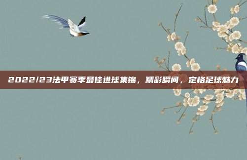 2022/23法甲赛季最佳进球集锦，精彩瞬间，定格足球魅力