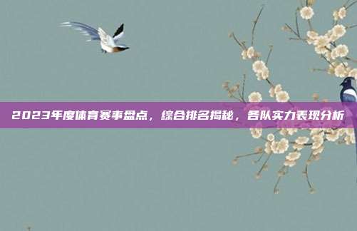 2023年度体育赛事盘点，综合排名揭秘，各队实力表现分析