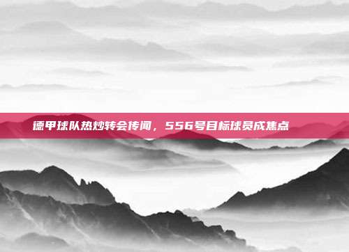 德甲球队热炒转会传闻，556号目标球员成焦点 🔍